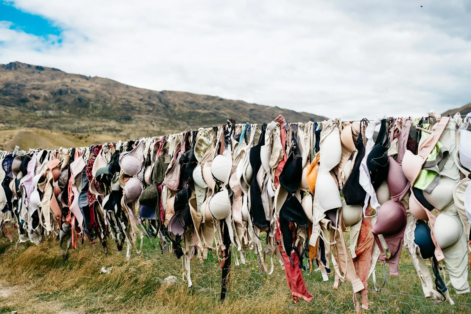 Hundreds of bras in every color and style hanging along a fence